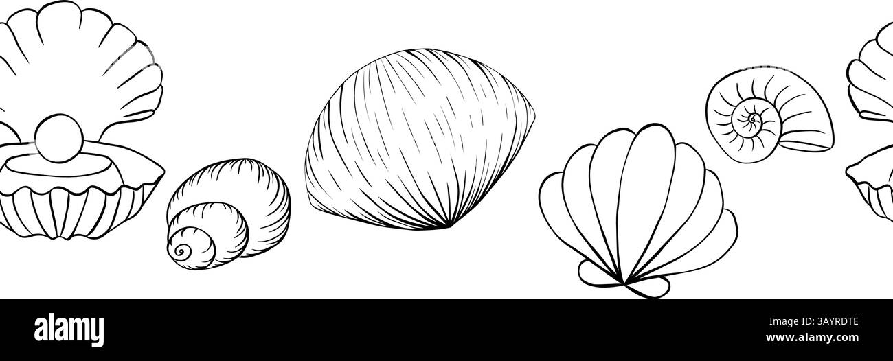 Nahtloser Rahmenrand aus Muschel. Vektorgrafik-Linie Tinte horizontale Illustration von Muscheln. Handgezeichnete lineare Zeichnung auf isoliertem Hintergrund. Design Stock Vektor