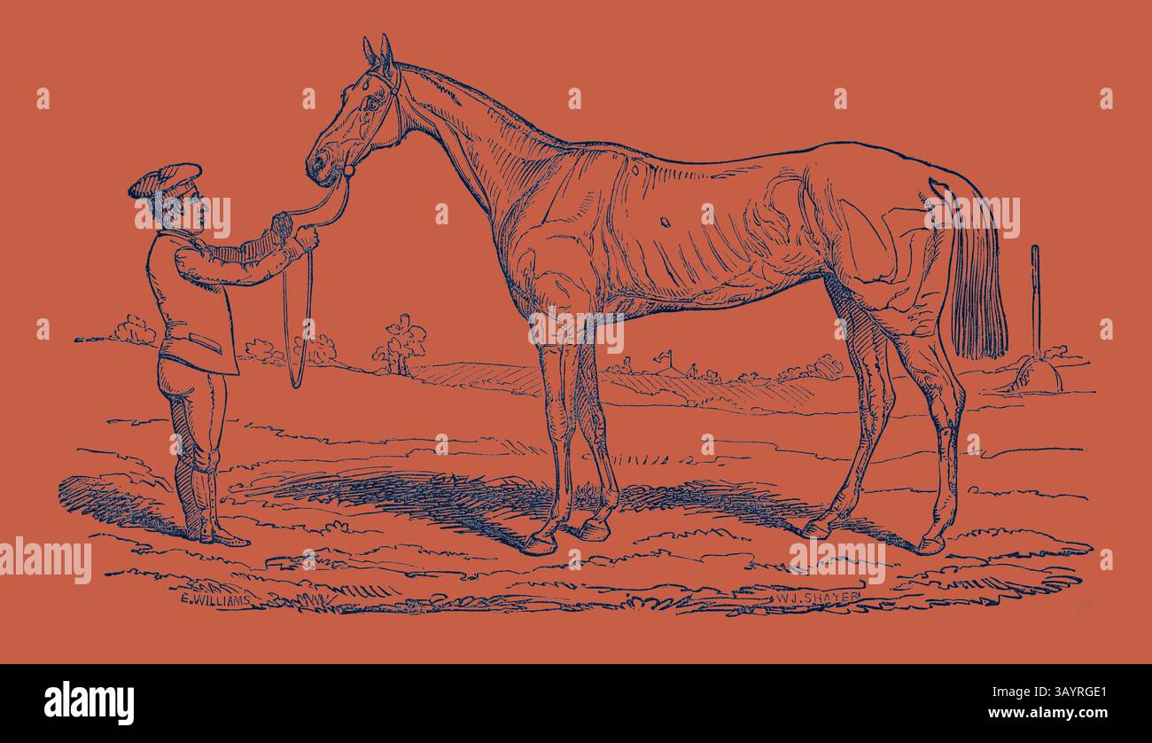 Ein Bräutigam in Uniform hält die Zügel eines majestätischen Pferdes und zeigt den starken Körper des Tieres vor einer einfachen ländlichen Kulisse. Die Prinzessin, Gewinner von "The Oaks". Klassische Kunst mit modernem Touch, neu interpretiert von Artotop Stockfoto