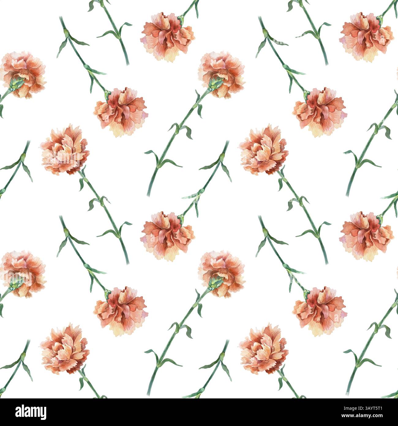 Nahtloses Muster der roten Nelken. Handgezeichnete Aquarellillustration isoliert auf weiß. Für Grußkarten zum Muttertag, Geburtstag, Geschenkpapier, W Stockfoto