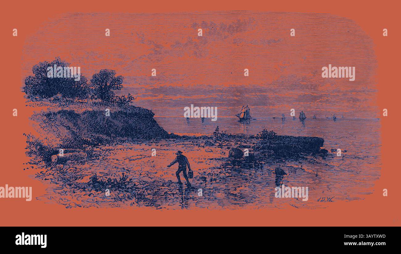 Eine ruhige Küstenszene bietet ein felsiges Ufer, an dem eine Figur zwischen den Steinen nach Schätzen sucht, während entfernte Segelboote sanft über das Wasser gleiten. Die Landschaft ist von Bäumen umrahmt, die sich vor einem beschaulichen Himmel befinden, was ein Gefühl der Ruhe und Erkundung weckt. Kelley's Island United States of America Klassische Kunst mit modernem Touch, neu interpretiert von Artotop Stockfoto