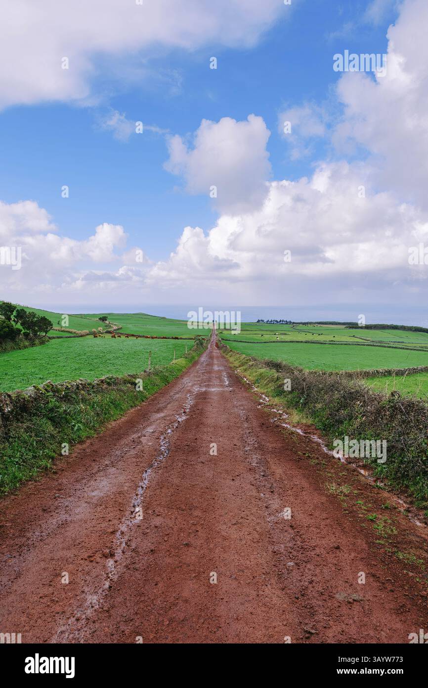 Malerischer Weg durch üppige grüne Weiden von Sao Jorge, Azoren, Portugal. Idyllische ländliche Landschaft mit einer Dirt Road, die sich durch das lebhafte Green F zieht Stockfoto