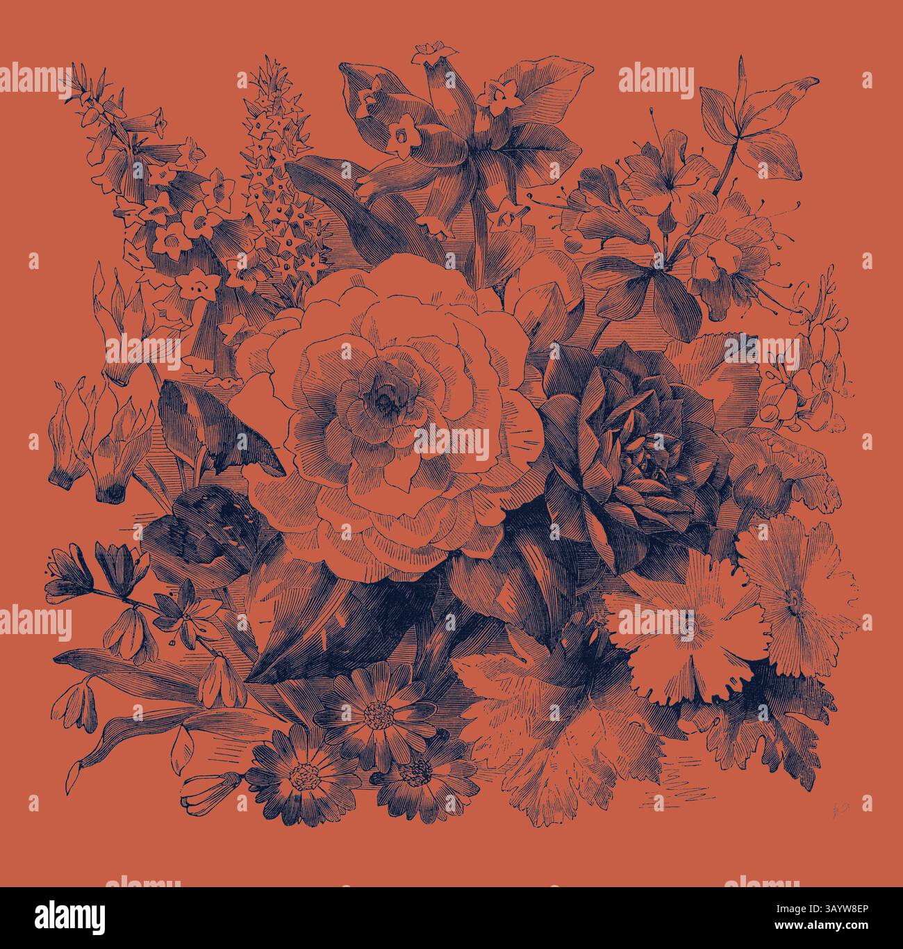 Ein lebhaftes Arrangement aus verschiedenen Blumen, darunter eine große Rose, umgeben von kleineren Blüten und Laub, die alle aufwändig mit einzigartigen Texturen und Mustern verziert sind. Der auffällige Hintergrund unterstreicht die florale Komposition und sorgt für eine beeindruckende visuelle Wirkung. März. Epacris Delicata E. Purpurescens. Cyclamen Persicum. Scilla Praecox. Burchellia Capensis. Camellia Gräfin von Orkney C. Imbricata. Cineraria. Azalea Amoena. Cytisus Racemosus. Primula Sinensis. Klassische Kunst mit modernem Touch, neu interpretiert von Artotop Stockfoto