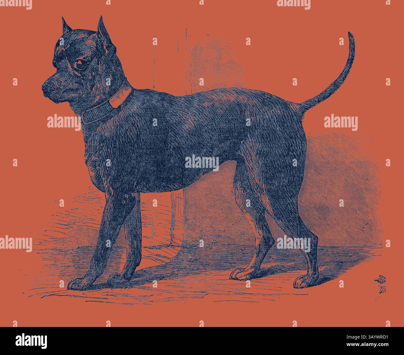 Eine detaillierte Abbildung eines stehenden Hundes mit schlankem Körper und spitzen Ohren, die seinen aufmerksamen Ausdruck und seinen Kragen zeigt. Der Hintergrund zeigt ein subtiles Licht- und Schattenspiel, das die Form des Hundes unterstreicht. Terrier (Life-Size), in der Great Exhibition, London, UK Klassische Kunst mit einem modernen Twist, neu gestaltet von Artotop Stockfoto
