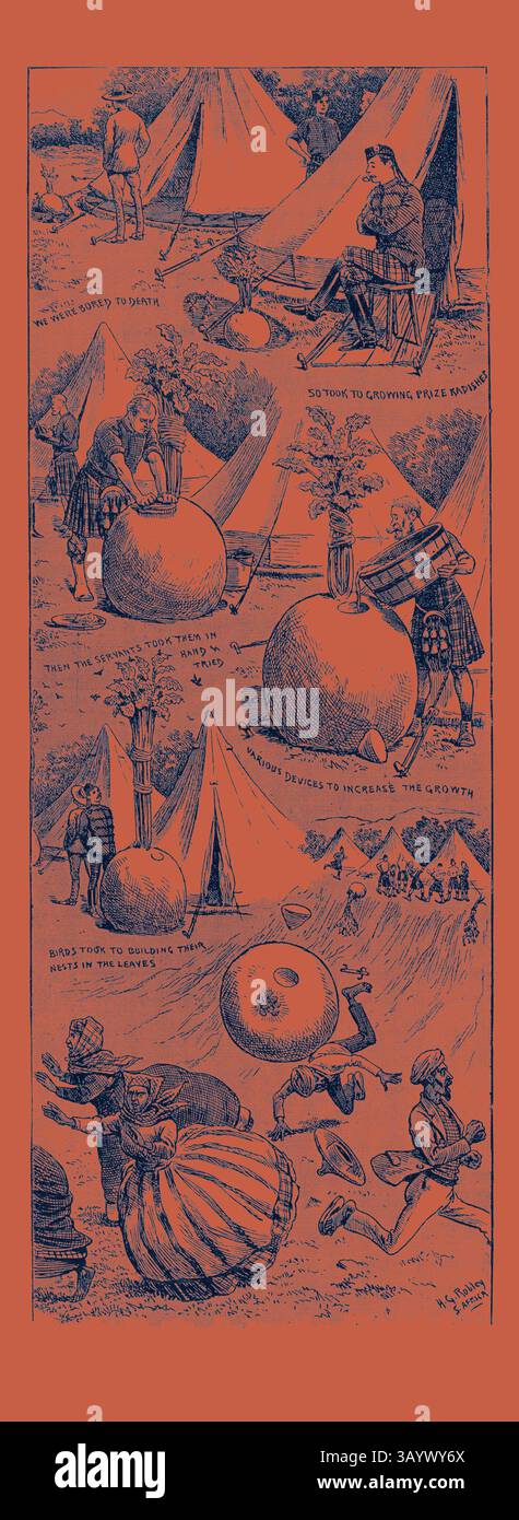 Eine skurrile Illustration, die eine Reihe von verspielten Szenen in einem Campingplatz zeigt, in denen Charaktere verschiedene humorvolle Aktivitäten ausüben, wie zum Beispiel das Balancieren auf großen Bällen, die Teilnahme an einem Gartenwettbewerb und die Freizeit in einem Zelt. Wunder in der Botanik: Die Geschichte des Wachstums einiger Riesenradieschen, 1892 Gravur Klassische Kunst mit einem modernen Twist von Artotop Stockfoto