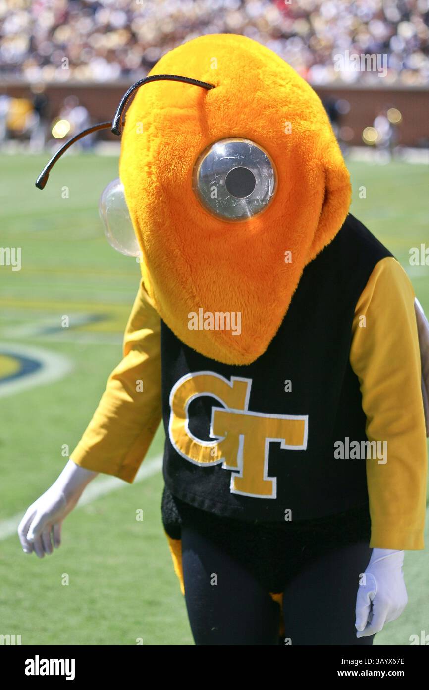 Am 4. September 2010 eröffneten die Georgia Tech Yellow Jackets ihre Saison mit der Austragung der South Carolina Bulldogs auf Grant Field im Bobby Dodd Stadium in Atlanta, GA. Georgia Tech besiegte die Bulldogs, 41-10. (Bild: © Kent McCorkle/Cal Sport Media/ZUMApress.com) Stockfoto