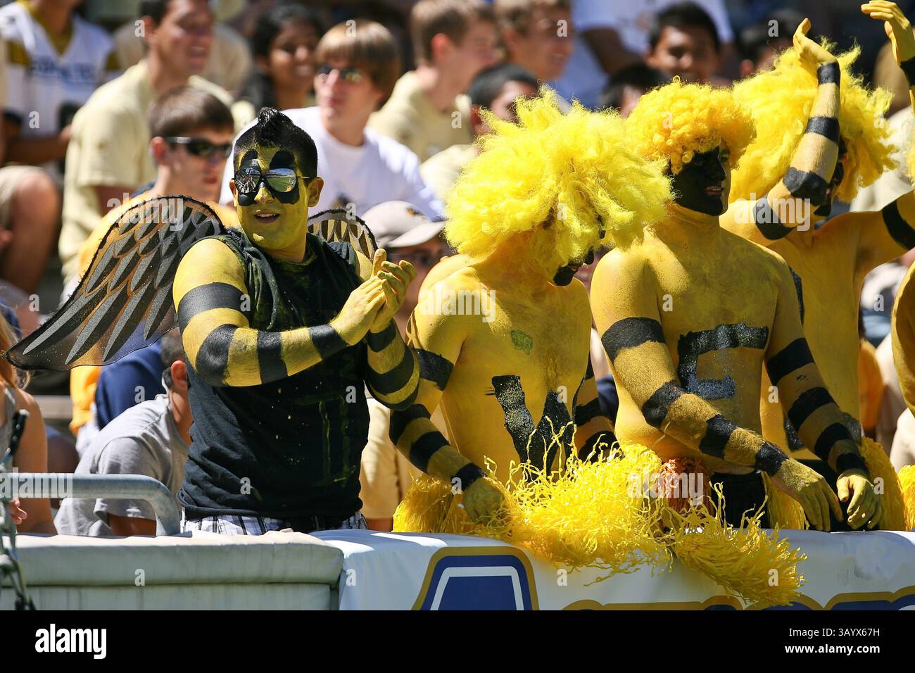 Am 4. September 2010 eröffneten die Georgia Tech Yellow Jackets ihre Saison mit der Austragung der South Carolina Bulldogs auf Grant Field im Bobby Dodd Stadium in Atlanta, GA. Georgia Tech besiegte die Bulldogs, 41-10. (Bild: © Kent McCorkle/Cal Sport Media/ZUMApress.com) Stockfoto