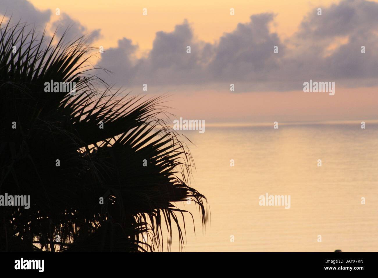 Goldene Stunde Stockfoto