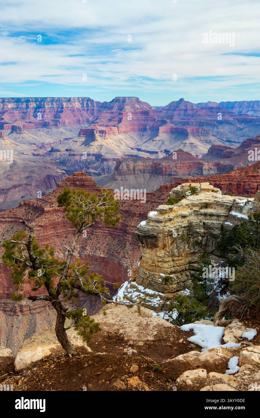 Blick auf den Grand Canyon, Arizona, USA Stockfoto