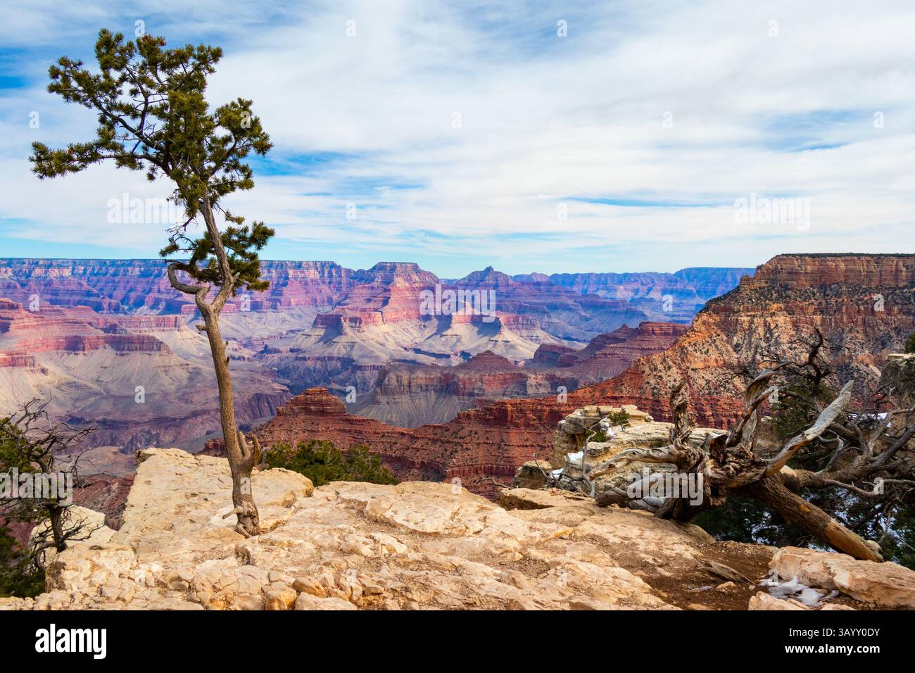 Blick auf den Grand Canyon Arizona USA Stockfoto