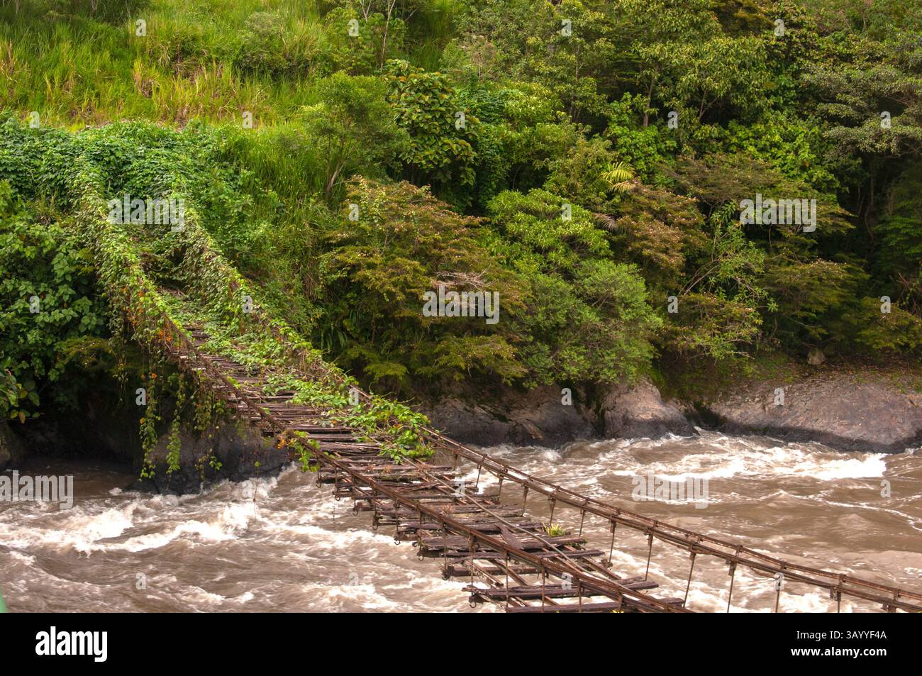 Üppige Vegetation umgibt eine prekäre Holzbrücke, die einen turbulenten Fluss überquert und die Herausforderungen und Schönheit des abgelegenen Dschungels unterstreicht Stockfoto
