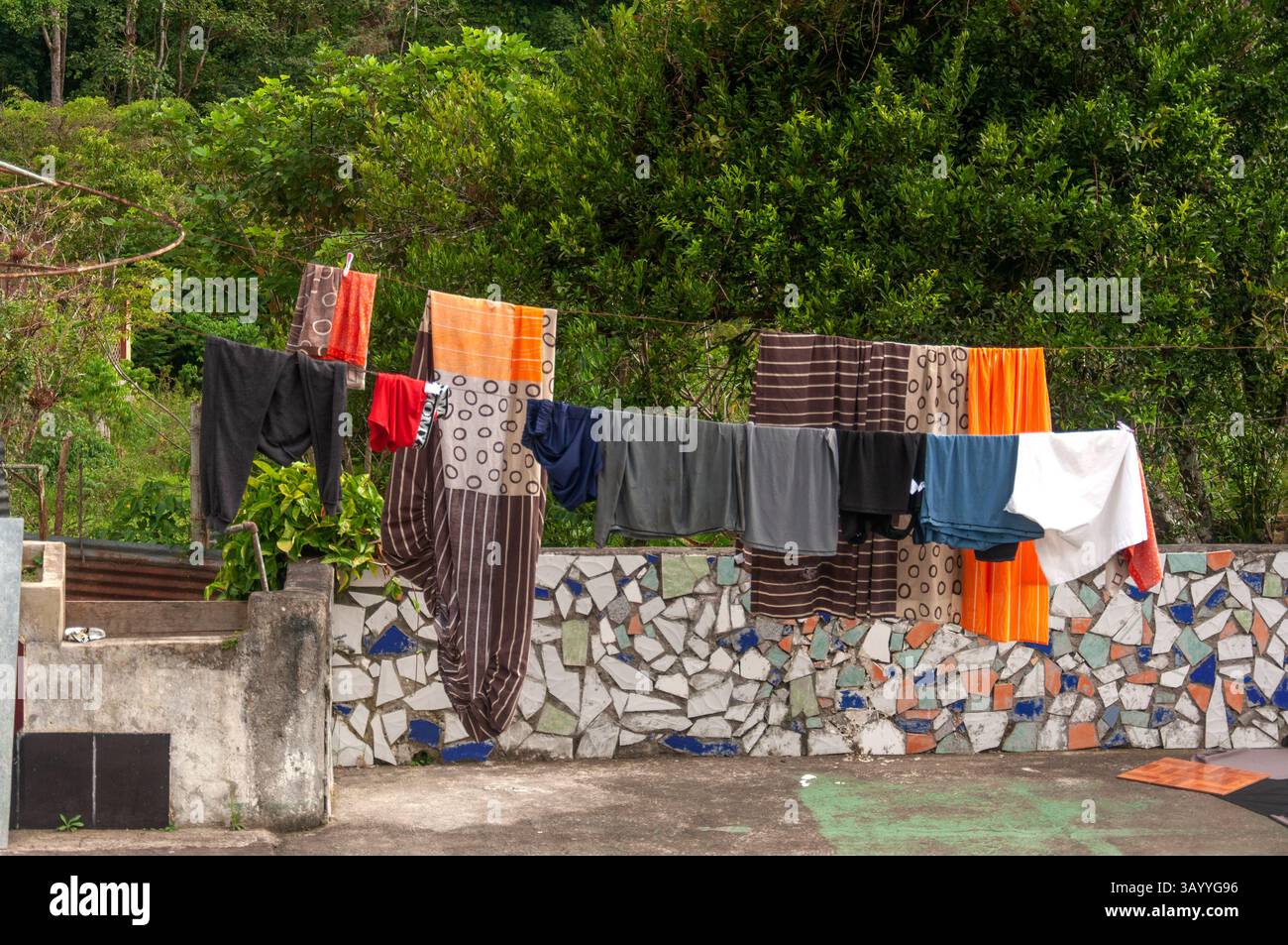 Kleidung, die auf einer Wäscheleine in einem tropischen Garten trocknet Stockfoto