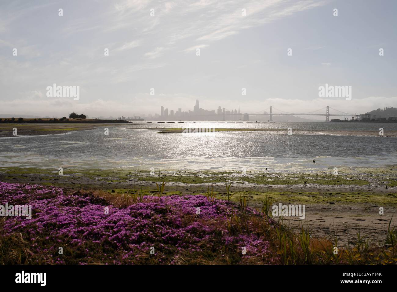 Ein Blick auf die Stadt San Francisco von der Oakland-Seite der Bay Area. 22. April 2025 (Foto: William Hale Irwin/ Credit: SIPA USA/Alamy Live News Stockfoto