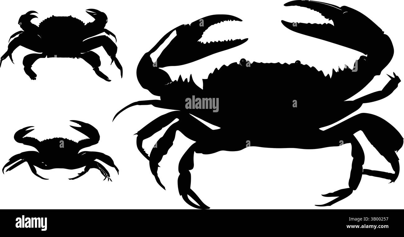 Ein auffälliges Schwarz-weiß-Bild mit drei Krabben-Silhouetten vor einem klaren Hintergrund für einen auffälligen Kontrast Stock Vektor