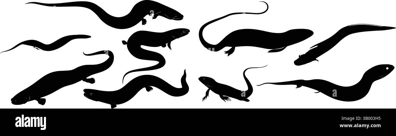 Eine monochrome Illustration mit mehreren Silhouetten verschiedener Salamander auf weißem Hintergrund Stock Vektor