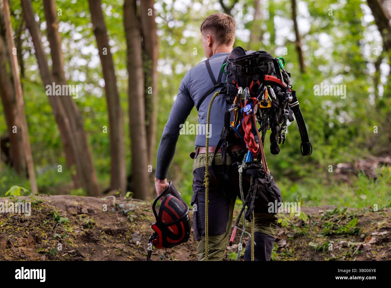 Symbolfoto zum Thema Baumpflege. Ein Mann aufgenommen bei der Baumpflege in Berlin, 23.04.2025. Berlin Deutschland *** symbolisches Foto zum Thema o Stockfoto