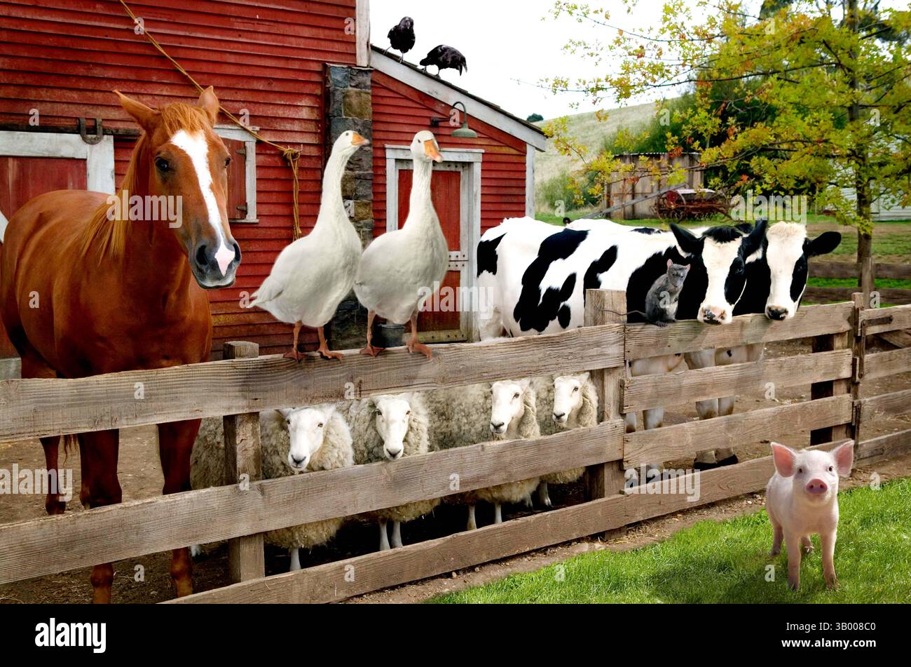 Januar 2007 - K51214ES." CHARLOTTE'S WEB ''. TV-FILM-STILL. 2006.im Uhrzeigersinn von links) Robert Redford Stimmen Ike (Pferd), Oprah Winfrey Stimmen Gussy (Gans), Cedric The Entertainer Stimmen Golly (Gans), Thomas Haden Church Stimmen Brooks (Krähe), AndrÅ½ Benjamin Stimmen Elwyn (Krähe), Steve Buscemi Stimmen Templeton (Rat), Kathy Bates Stimmen Bitsy (Kuh), Reba McEntire (Kuh) und Ã Kuh (Jungkuh) Stimmen CharlotteÃs ( Kuh). (Kreditbild: © Globe Photos/ZUMApress.com) Stockfoto