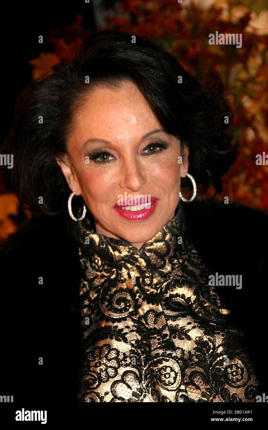 November 2007 - New York, New York, USA - II12473BT.ROLEX MENTOR-PROTEGE INITIATIVE GALA. DAS NEW YORK NEW YORK THEATER, LINCOLN CENTER 11-12-2007.NIKKI HASKELL. - - 2007(Bild: © Barry Talesnick/Globe Photos/ZUMAPRESS.com) Stockfoto