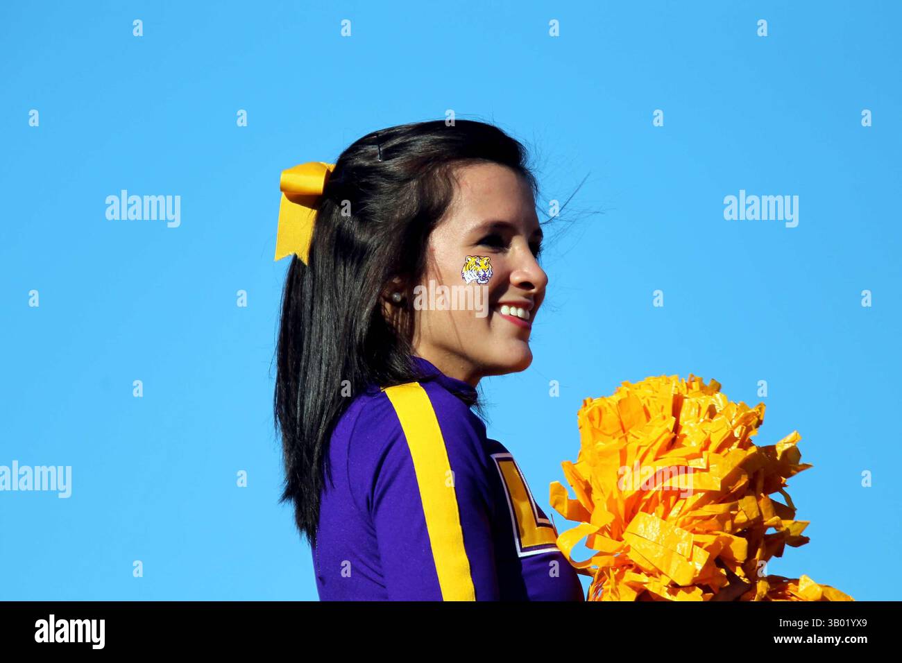 27. November 2010: Ein Anführer der LSU schaut in die Menge. Die Razorbacks besiegten die Tigers 31-23 im war Memorial Stadium in Little Rock, AR, Richey Miller/CSM(Credit Image: © Richey Miller/Cal Sport Media/ZUMAPRESS.com) Stockfoto