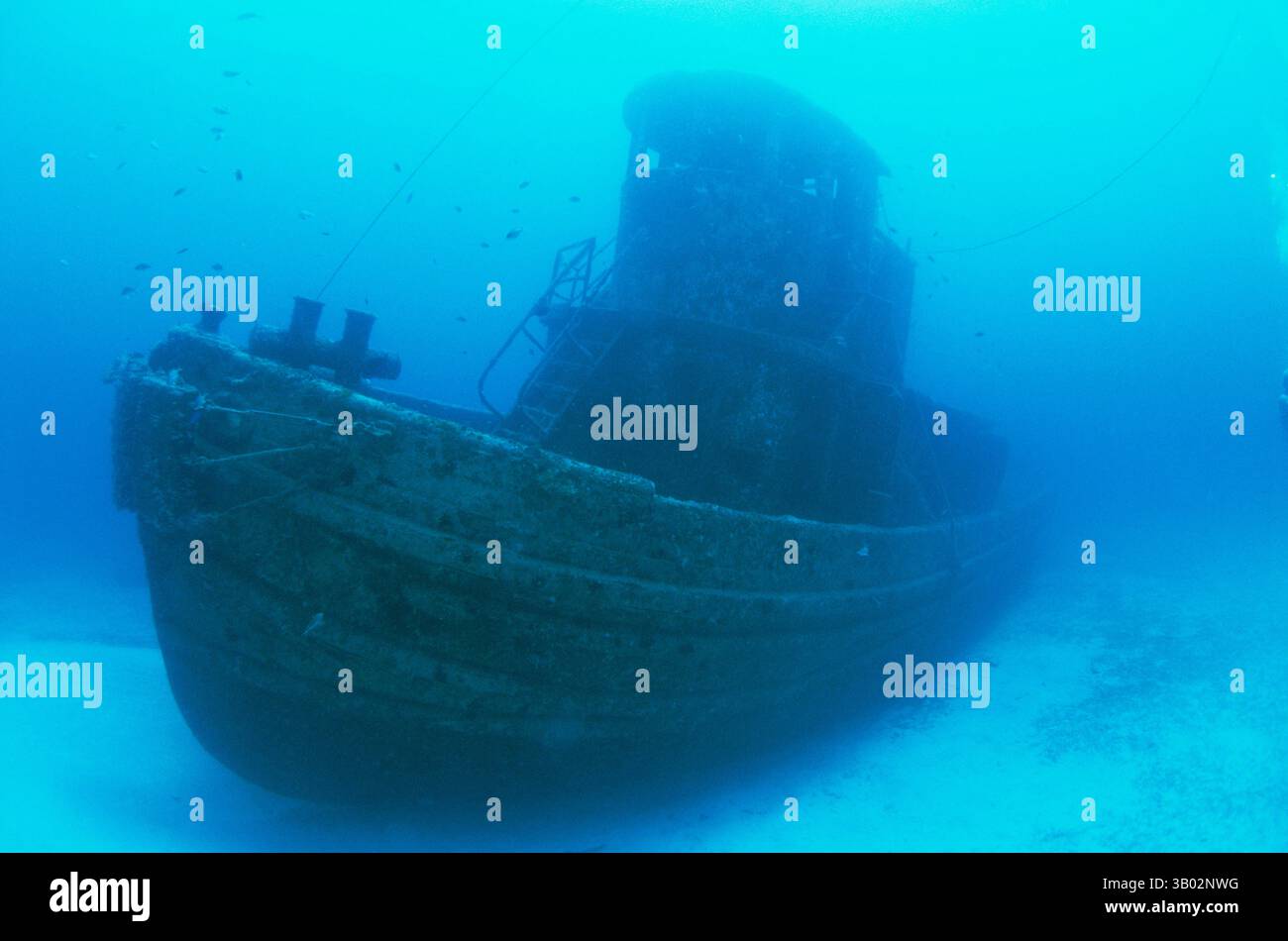 Dezember 2010 - St. Croix, amerikanische Jungferninseln, amerikanische Jungferninseln - Wrack des Schleppers 'Northwind', St. Croix, amerikanische Jungferninseln, Karibik. (Kreditbild: © Doug Perrine/Bluegreen Pictures/ZUMAPRESS.com) Stockfoto