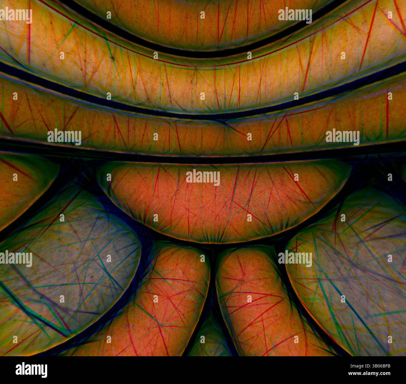 Ein kompliziertes Muster aus gekrümmten Formen und lebendigen Linien schafft eine faszinierende geometrische Komposition, die ein Gefühl organischer Textur und Tiefe weckt. Ein kreisförmiges abstraktes Design mit mehrschichtigen, strukturierten Formen, die organischen Formen ähneln, mit einer Mischung aus Kurven und Linien, die eine visuell fesselnde Komposition schaffen. Das Zusammenspiel der Farben verleiht der Gesamtform Tiefe und Intrige. Klassische Kunst mit modernem Touch, neu interpretiert von Artotop, transformiertes Renaissance Ornament, Klassische Kunst mit modernem Touch, neu interpretiert von Artotop Stockfoto