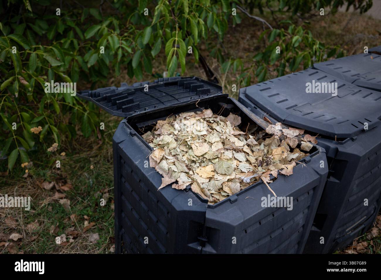 Auf dem Boden stehen in einer Reihe schwarze Kompostbehälter, die jeweils mit verschiedenen organischen Abfällen gefüllt sind: Blätter, Äste, Lebensmittelreste. Die Deckel sind geöffnet. Recycling Stockfoto