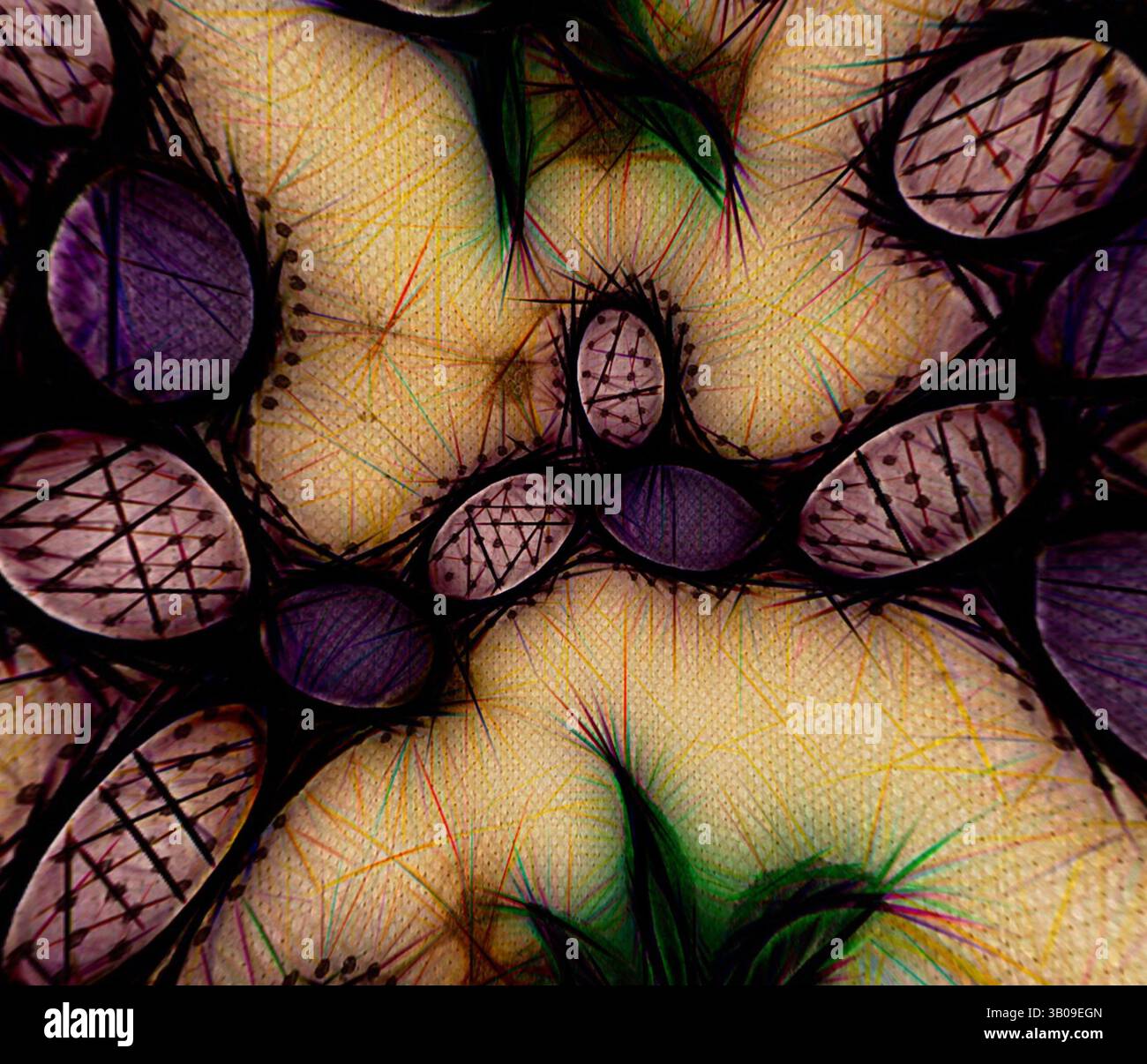 Eine abstrakte Komposition mit ineinander verflochtenen Formen mit strukturierten Oberflächen und lebendigen Linien, die ein Gefühl fließender Bewegung und komplizierter Muster schaffen. Die Farben verschmelzen harmonisch und verleihen dem Design Tiefe und Komplexität. Ein kompliziertes kreisförmiges Design mit farbenfrohen organischen Formen mit einer Mischung aus Erdtönen, floralen Elementen und einer strukturierten, abstrakten Qualität, die an mikroskopische Ansichten lebender Organismen erinnert. Klassische Kunst mit einem modernen Twist von Artotop, transformierte französische Stoffe, erste Hälfte des 19. Jahrhunderts, Klassische Kunst mit einem modernen Twist neu interpretiert von Stockfoto