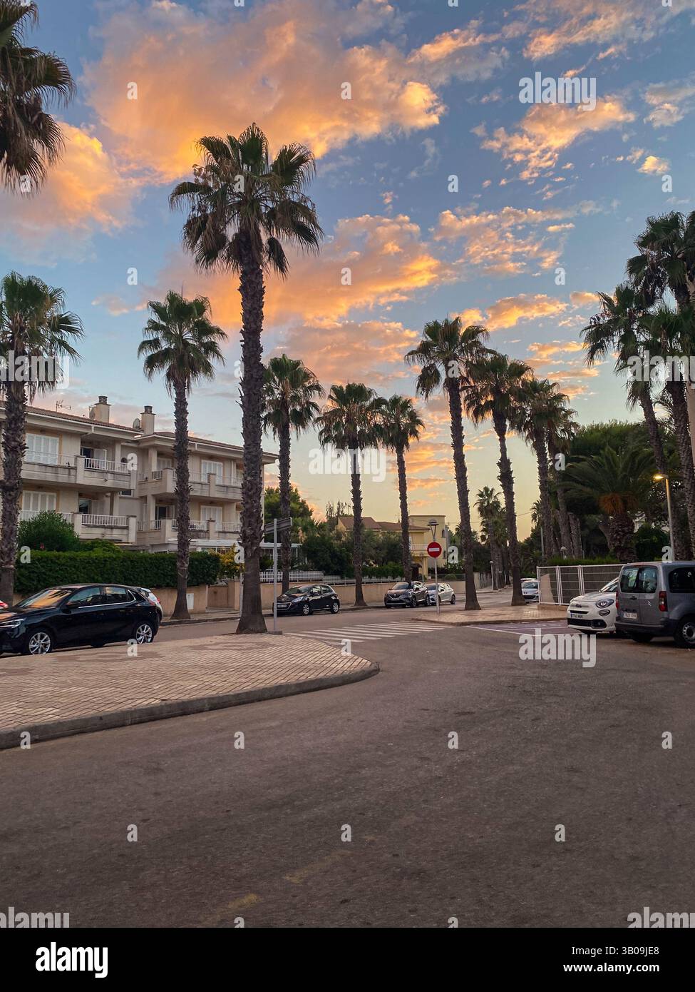 Malerischer Sunset Boulevard mit Palmen und Wohnarchitektur in einer mediterranen Stadt Stockfoto