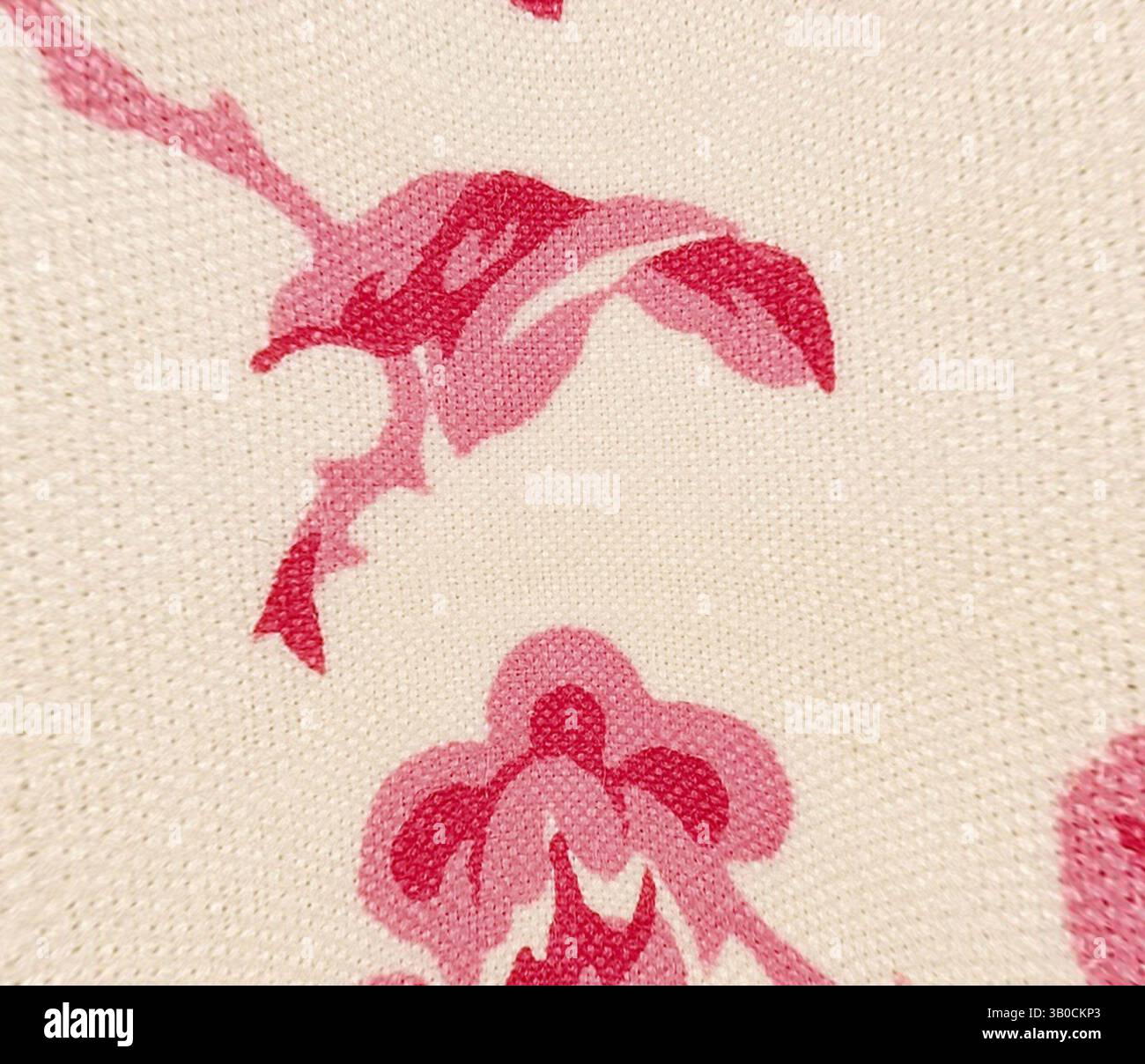 Nahansicht eines Stoffes mit komplexen Blumenmustern in leuchtenden Rosa-Tönen vor hellem Hintergrund, die Textur und Designdetails zeigen. Zarte Blumenmuster in Rosa verschmelzen sich vor einem weichen, neutralen Hintergrund und schaffen ein elegantes und klassisches Design. Klassische Kunst mit einem modernen Twist von Artotop, transformierte französische Stoffe, erste Hälfte des 19. Jahrhunderts, klassische Kunst mit einem modernen Twist von Artotop Stockfoto