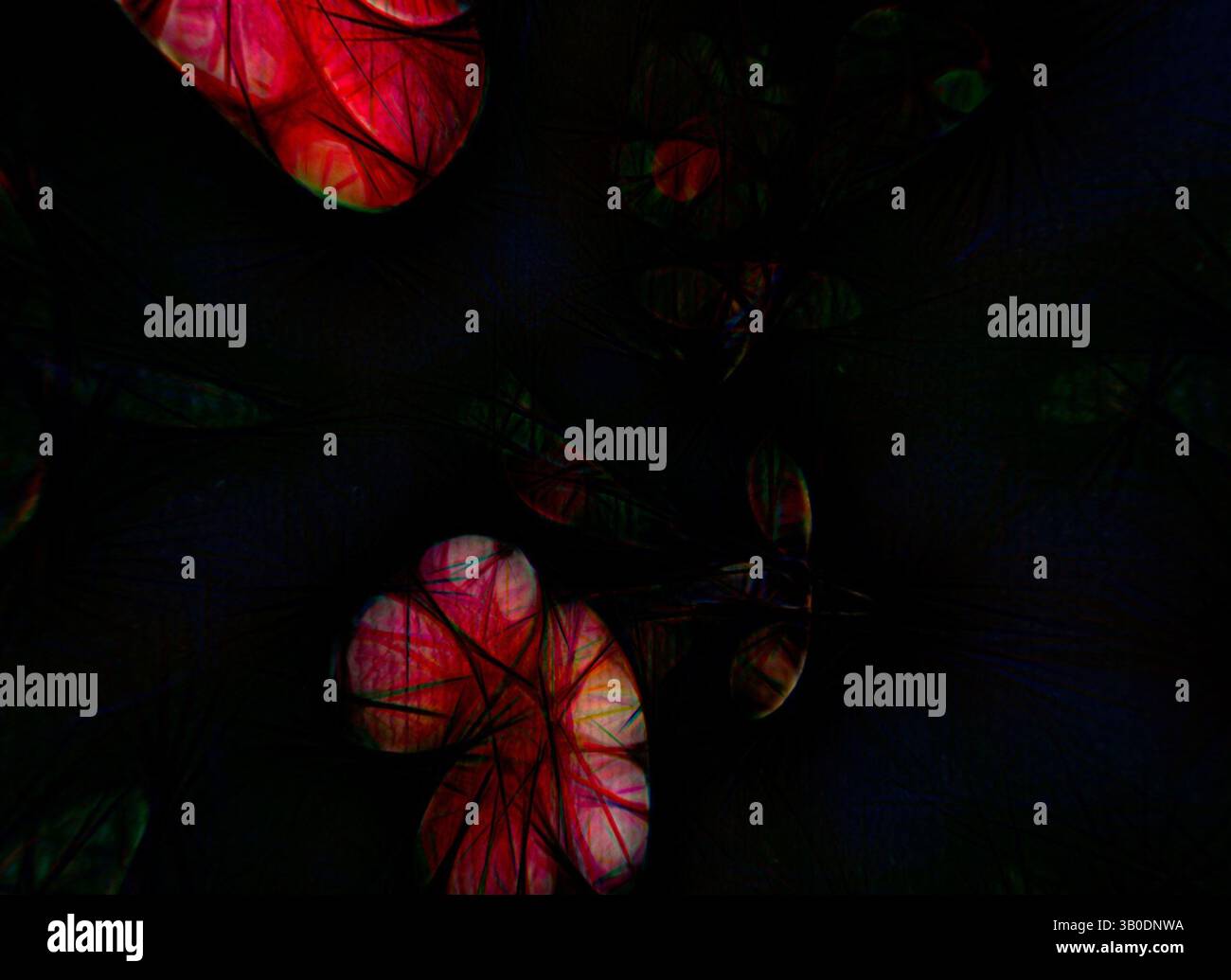 Eine fesselnde Auswahl an organischen Formen und lebendigen Farben sorgt für ein eindrucksvolles visuelles Erscheinungsbild, das rote und grüne Anklänge in einem dunklen Hintergrund vereint. Die Formen weben und fließen und wecken ein Gefühl von Tiefe und Geheimnis. Eine kreisförmige Komposition mit leuchtenden Blüten, die von tiefen Schatten umgeben sind, schafft einen beeindruckenden Kontrast, der die komplizierten Details der Blüten und Blätter hervorhebt. Klassische Kunst mit einem modernen Twist von Artotop, transformierte französische Stoffe, erste Hälfte des 19. Jahrhunderts, klassische Kunst mit einem modernen Twist von Artotop Stockfoto