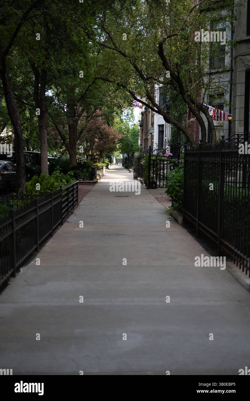 Charmanter Bürgersteig gesäumt von schmiedeeisernen Zäunen und üppigen grünen Pflanzen auf beiden Seiten. Perfektes Stockbild für urbanen Garten, friedlichen Spaziergang, Nachbarn Stockfoto