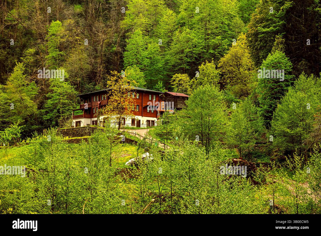 Blick auf den Wald von Hemsin und die Brücke Stockfoto