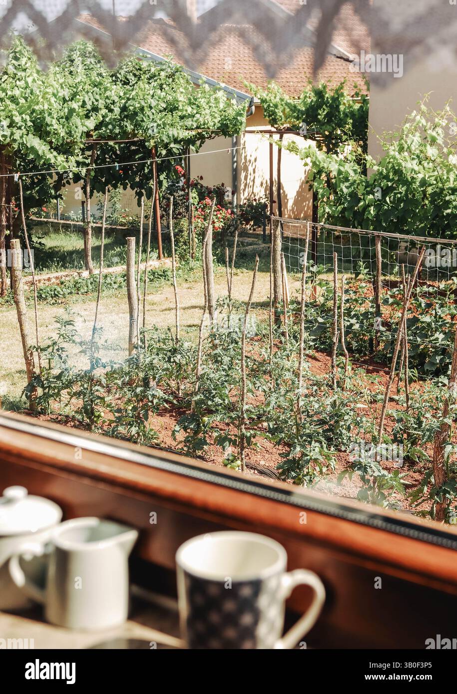 Langsame Leben Stockfoto