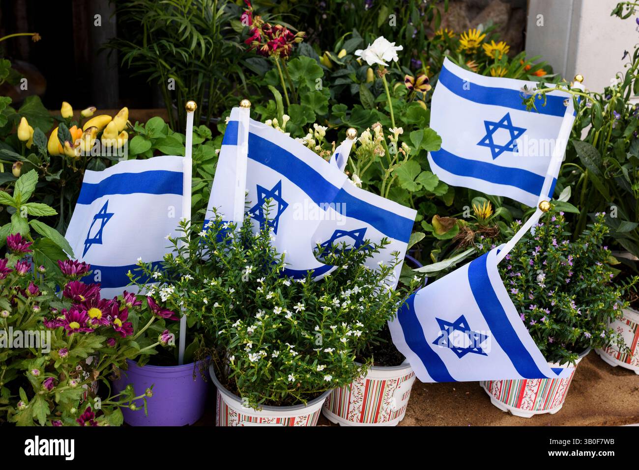 Blaue und weiße Fahnen des Staates Israel mit einem jüdischen Stern, der zwischen den Häuserpflanzen platziert wurde und während des Gedenktages und Independen in Jerusalem verkauft wurde Stockfoto Blaue und weiße Fahnen des Staates Israel mit einem jüdischen Stern, der zwischen den Häuserpflanzen platziert wurde und während des Gedenktages und Independen in Jerusalem verkauft wurde Stockfoto