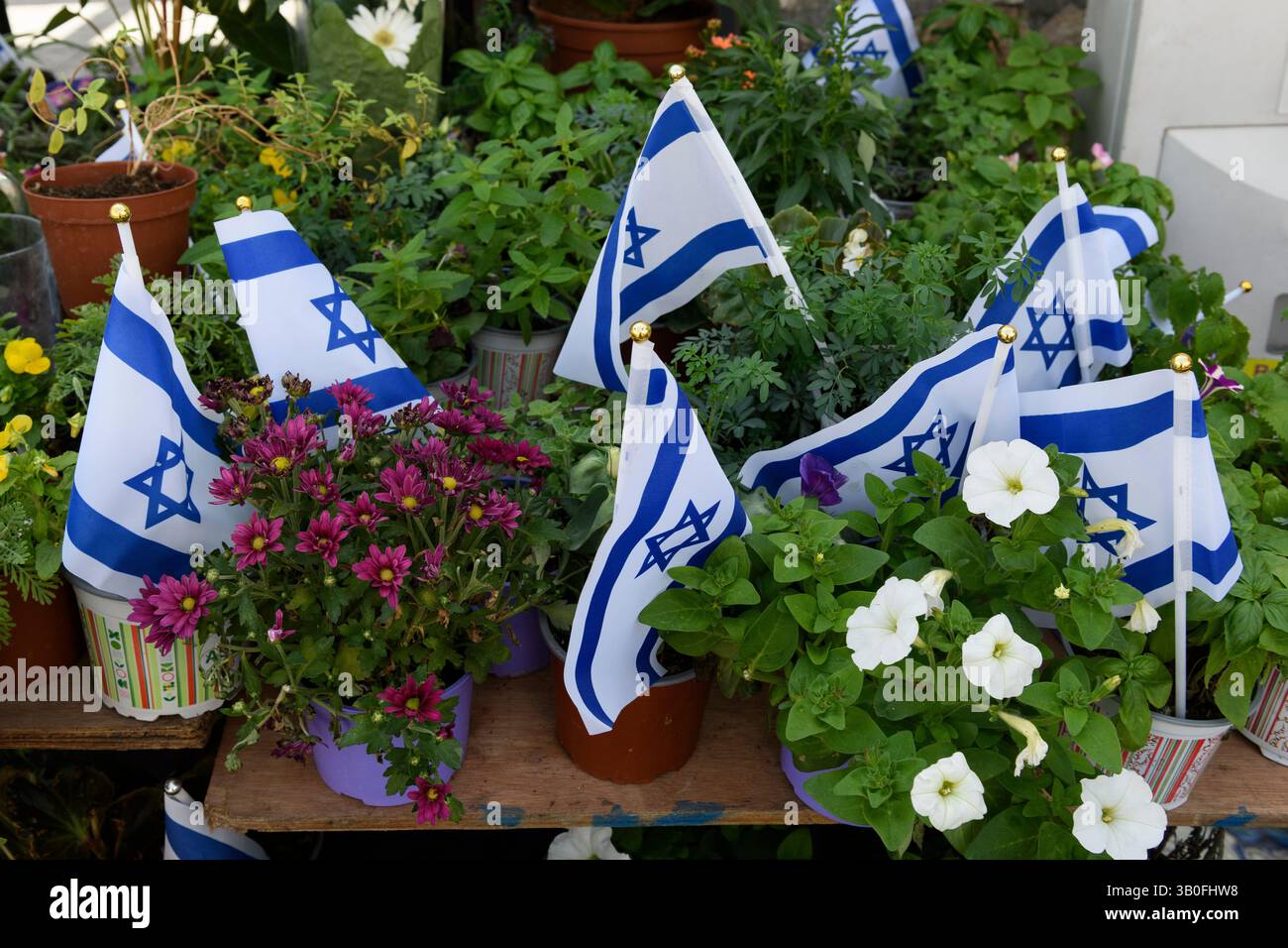 Blaue und weiße Fahnen des Staates Israel mit einem jüdischen Stern, der zwischen den Häuserpflanzen platziert wurde und während des Gedenktages und Independen in Jerusalem verkauft wurde Stockfoto Blaue und weiße Fahnen des Staates Israel mit einem jüdischen Stern, der zwischen den Häuserpflanzen platziert wurde und während des Gedenktages und Independen in Jerusalem verkauft wurde Stockfoto