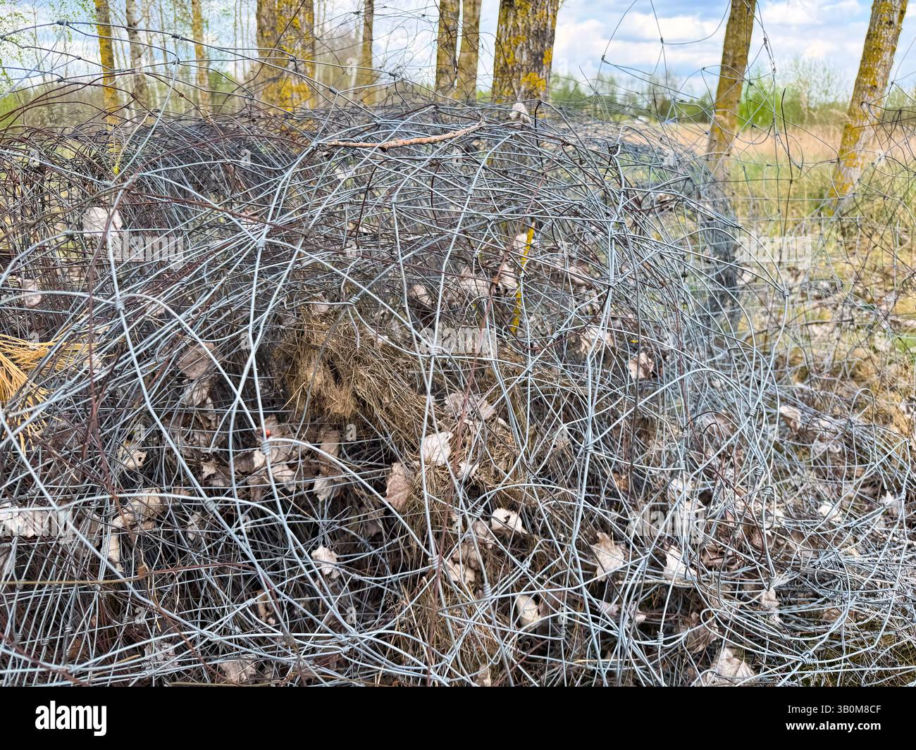 Nahaufnahme von verworrenen und verwitterten Maschendrahtzäunen, die mit trockenen Blättern und Waldschutt auf einer Rodung zwischen Birkenbäumen im Frühling in t verwickelt sind Stockfoto