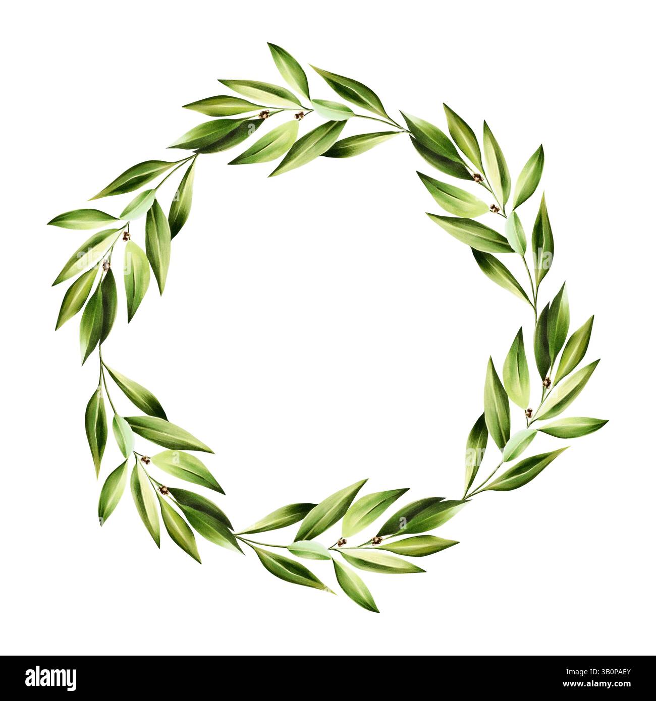 Grüner Lorbeerblattkranz, Logo. Aquarell Hand gezeichnet Zweig des Lorbeers Illustration isoliert auf transparentem Hintergrund. Für Designer, Menü, Dekoration Stockfoto