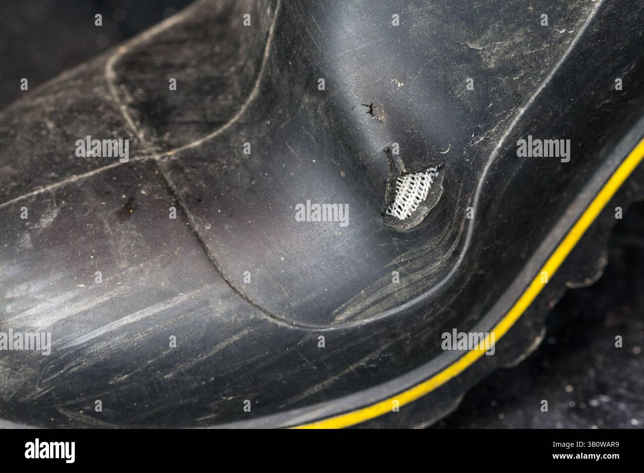 Beschädigte Gummistiefel mit deutlich zerrissenem Obermaterial. Sicherheitsschuhe sollten vor dem Gebrauch immer auf sichtbare Schäden überprüft werden. Stockfoto