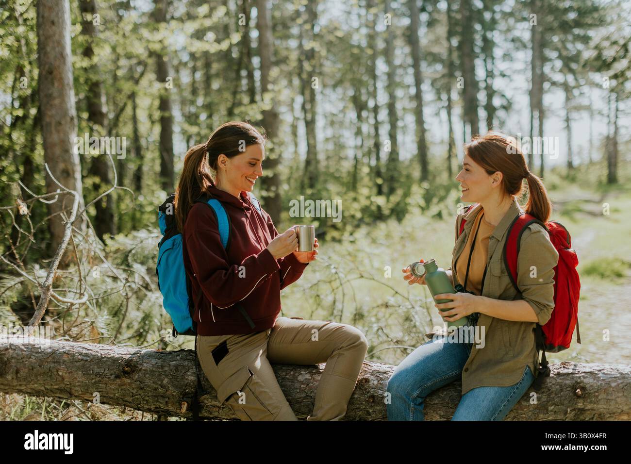 Zwei Freunde teilen sich Lachen und warme Getränke, sitzen auf einem gefallenen Baumstamm, umgeben von leuchtenden grünen Bäumen auf einem schönen Outdoor-Abenteuer. Stockfoto