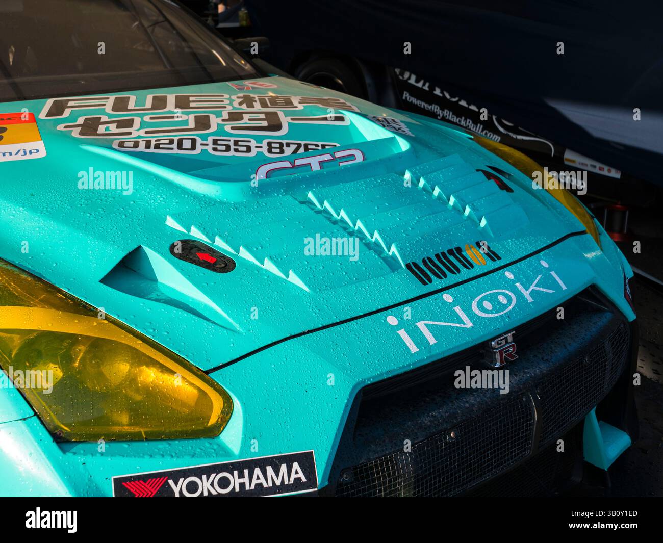 Nissan GT-R Nismo GT3 Rennwagen, 82 mm Mitgliedertreffen, Goodwood Motor Circuit, West Sussex UK Stockfoto