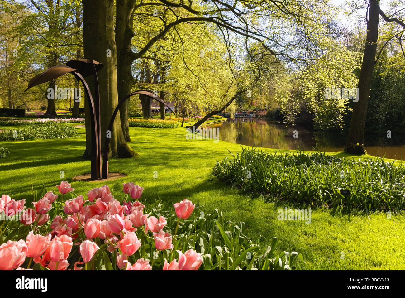 Keukenhof, Niederlande - 2023 - 05 - 02: Frühlingslandschaft in den Gärten von Keukenhof, Niederlande, mit rosa Tulpen im Vordergrund, grünem Rasen, Bäumen, an Stockfoto