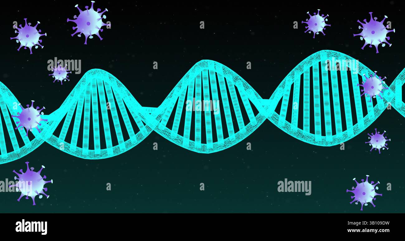 Anzeige der Cyan-3D-DNA-Drahtmodellhelix auf dunklem Hintergrund mit violetten Virus-Symbolen Stockfoto