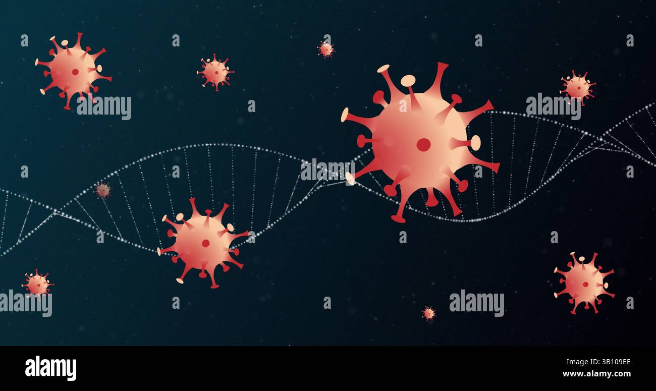 Schwimmende stilisierte rote Viren mit Spitzen in abstrakter Illustration, weiße DNA-Helix, Kopierraum Stockfoto