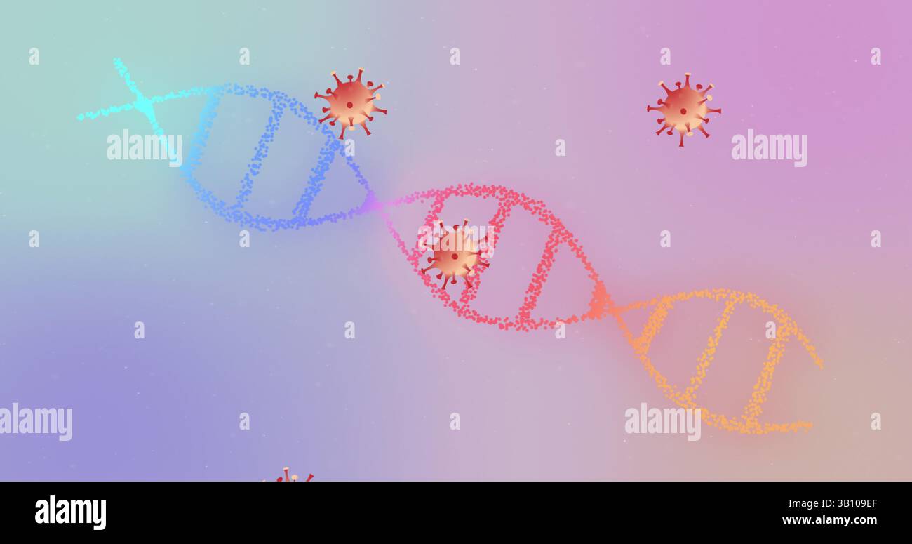 Anzeige der DNA-Doppelhelix, die durch farbige Punkte in digitaler Illustration gebildet wird, mit Spiky Virus-Symbolen Stockfoto