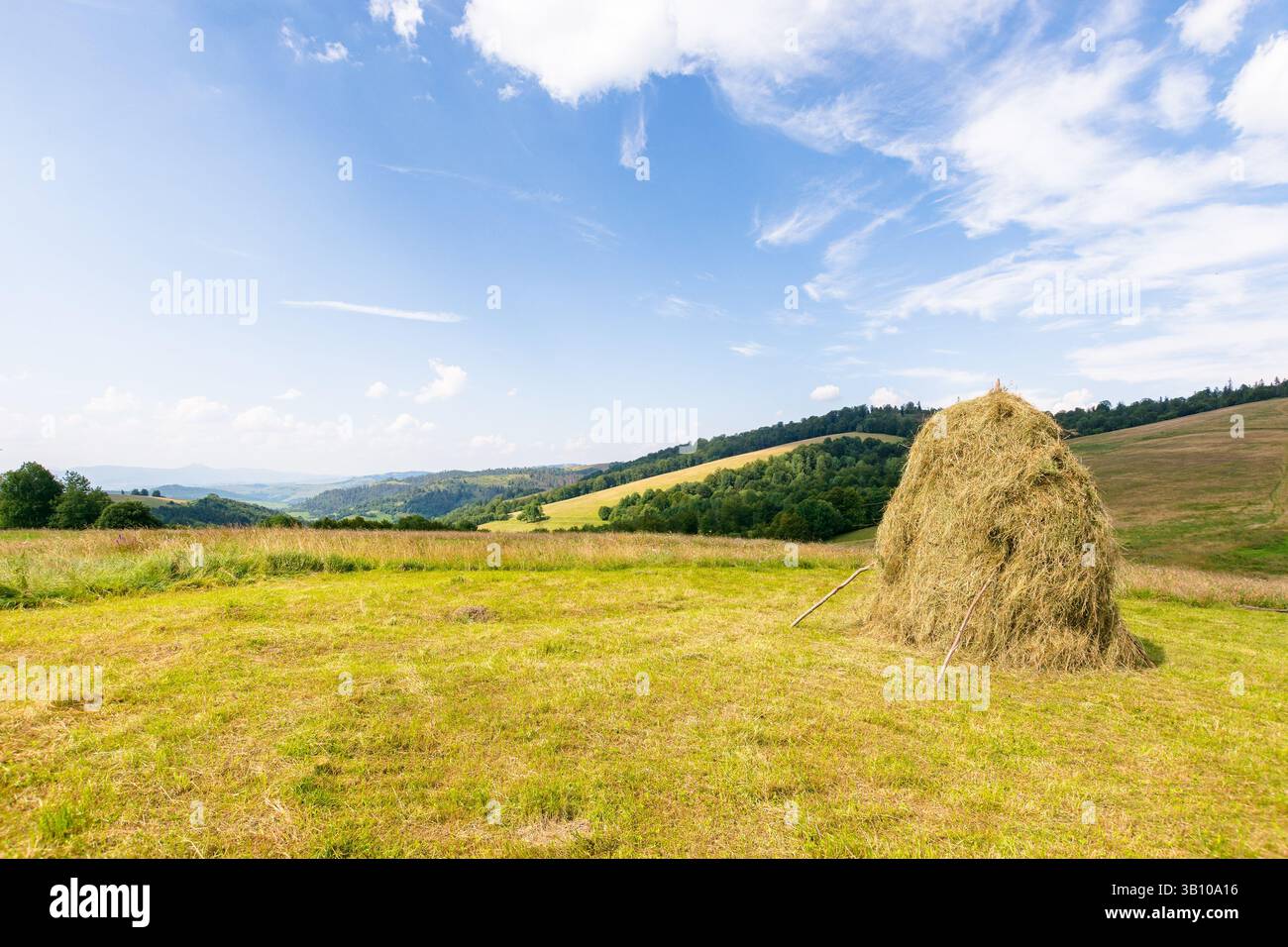 Ländliche Landschaft von transkarpaten im Sommer. almweide. Heuhaufen auf dem grasbewachsenen Feld. Bergige Landschaft der ukraine an einem sonnigen After Stockfoto