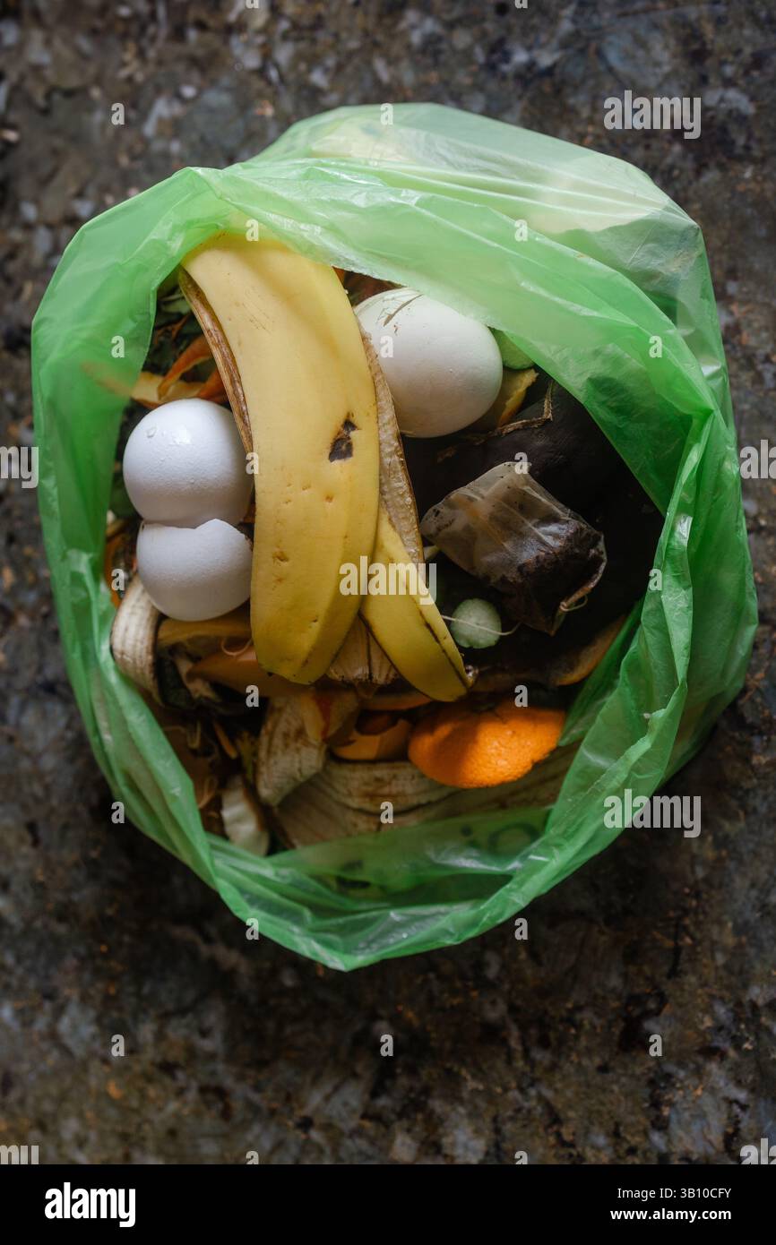 Lebensmittelreste werden in einem grünen Kompostbeutel gesehen, in dem organische Abfälle, die für die Kompostierung bereit sind, in einem Gartenbereich präsentiert werden. Stockfoto