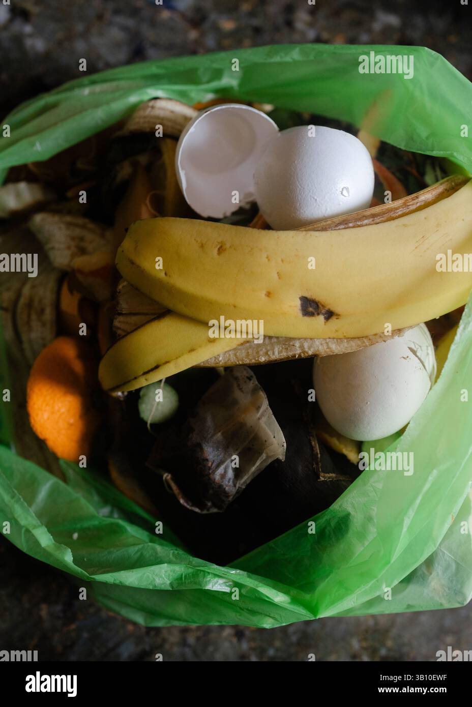 Eine Sammlung von organischen Abfällen, einschließlich Bananenschalen, Eierschalen und verschiedenen Früchten in einem grünen Recyclingbeutel. Stockfoto