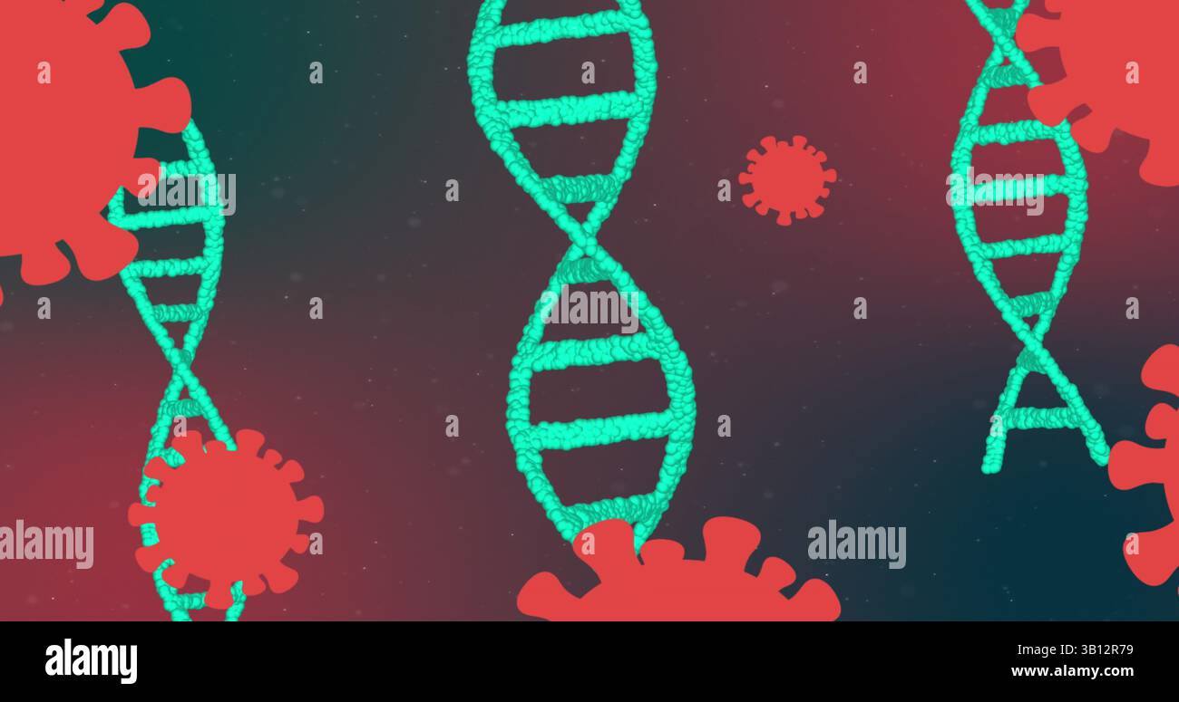 Schwimmender zentraler türkisfarbener DNA-Helixstrang, der sich im abstrakten Raum dreht, mit roten Viruspartikeln Stockfoto