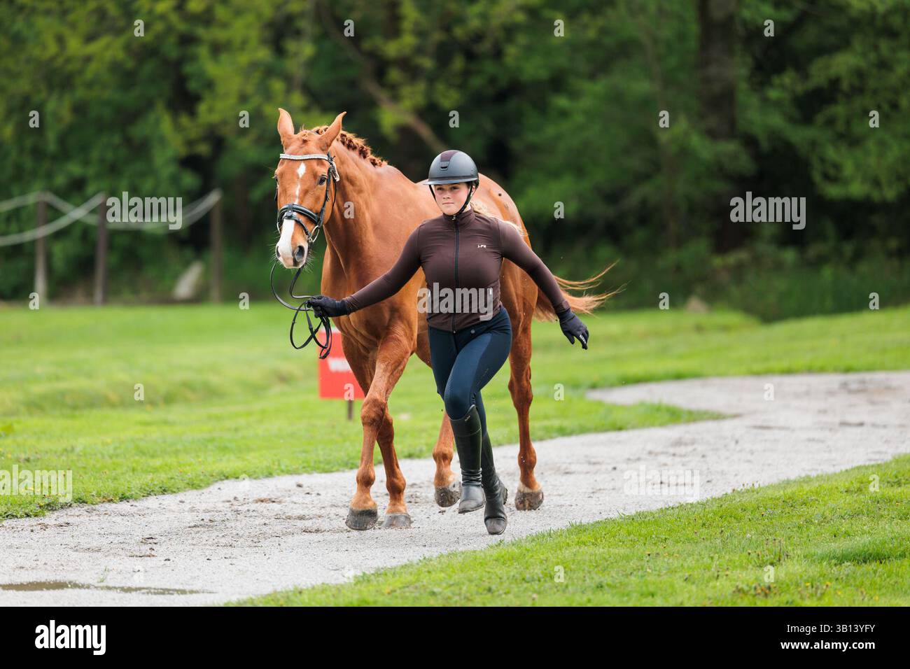 Nikola Bartova aus Tschechien mit Portas während der CCI2* L erste Pferdeinspektion bei den Strzegom Spring Open II am 24. April 2025 in Strzegom, Polen (Foto: Maxime David - MXIMD Pictures) Stockfoto