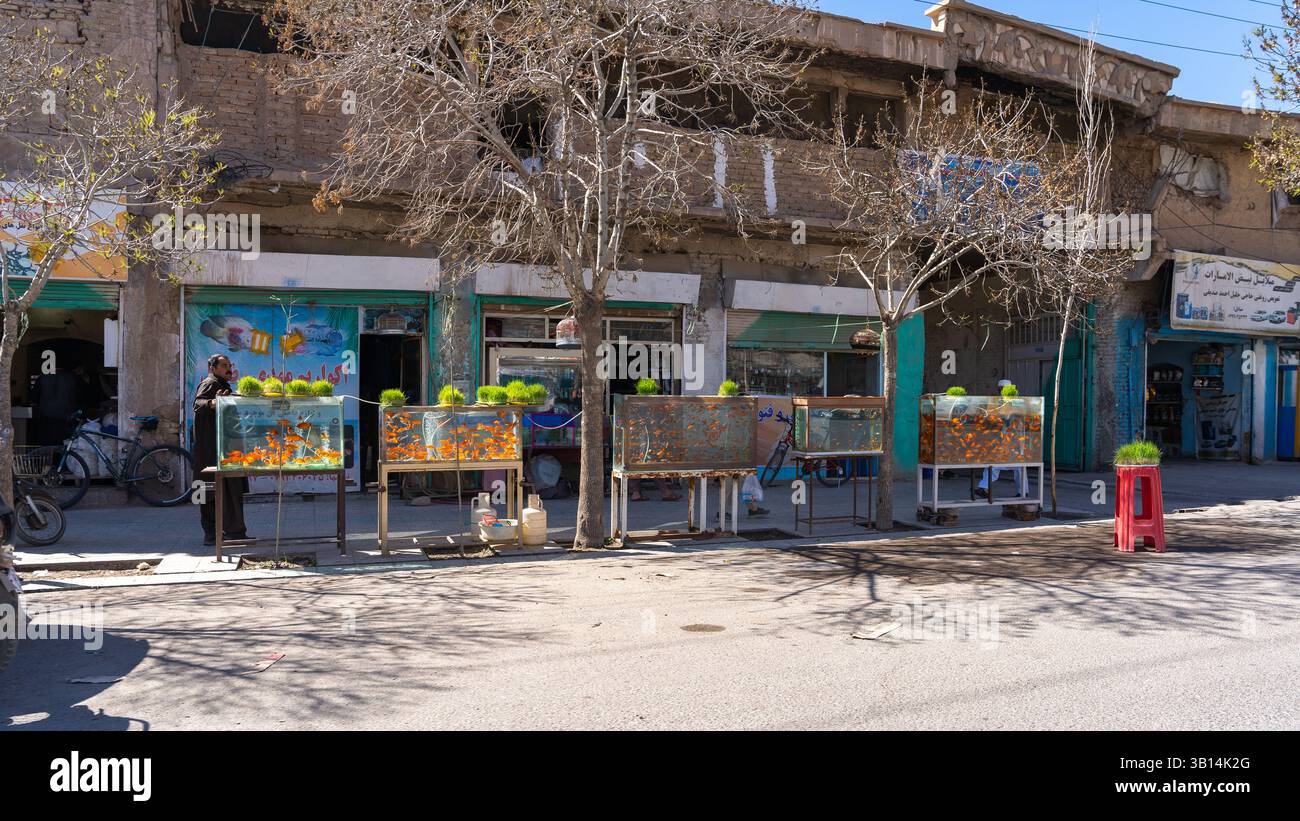 Die geschäftigen Straßen von Herat mit Transport und Straßenhandel Stockfoto