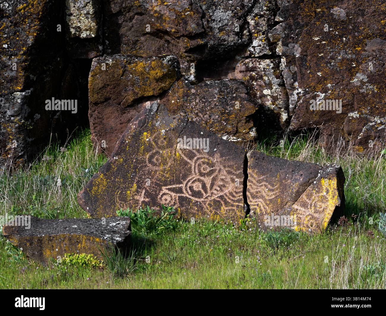 WA26547-00....WASHINGTON - die ersten Menschen auf dem Temani Pesh-wa Trail, Petroglyphs Trail, im Horsetheif Lake State Park. Von ihrem entfernt Stockfoto